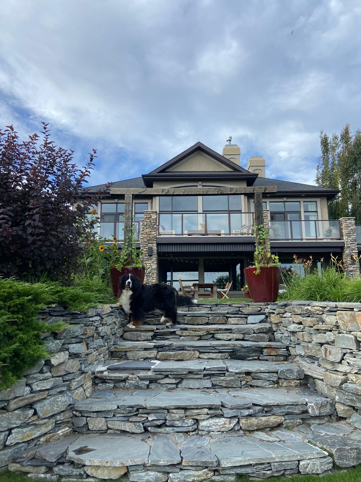 Exterior — luxury property care